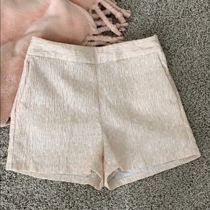 Express High-Waisted Shorts